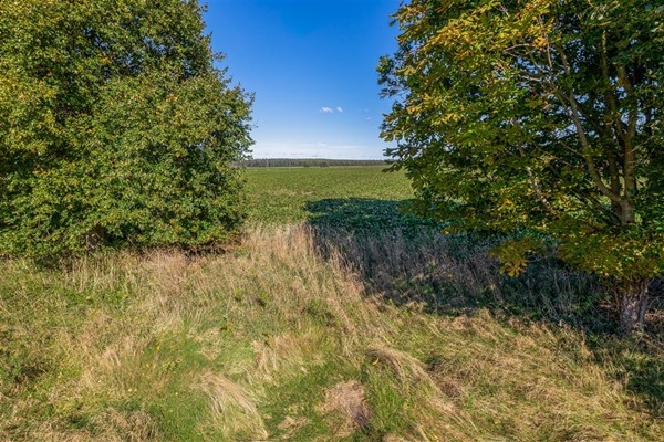 Medium property photo - Nieuweweg 1, 9632 TA Borgercompagnie